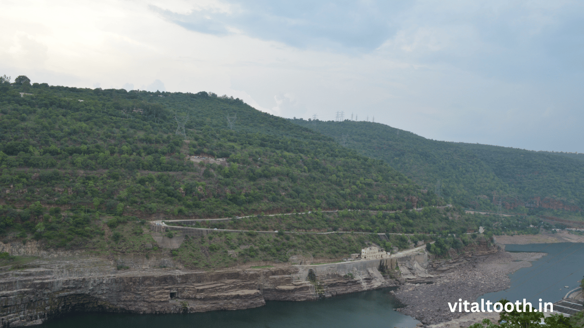 Nallamala Jungle View 6